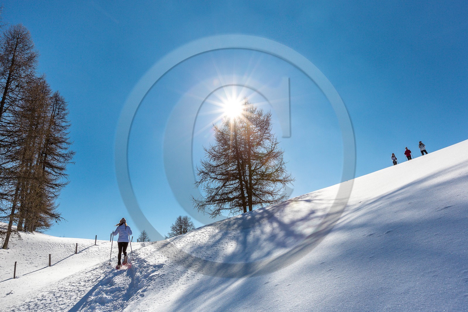 vallée de l'Ubaye, randonnée en raquettes à neige