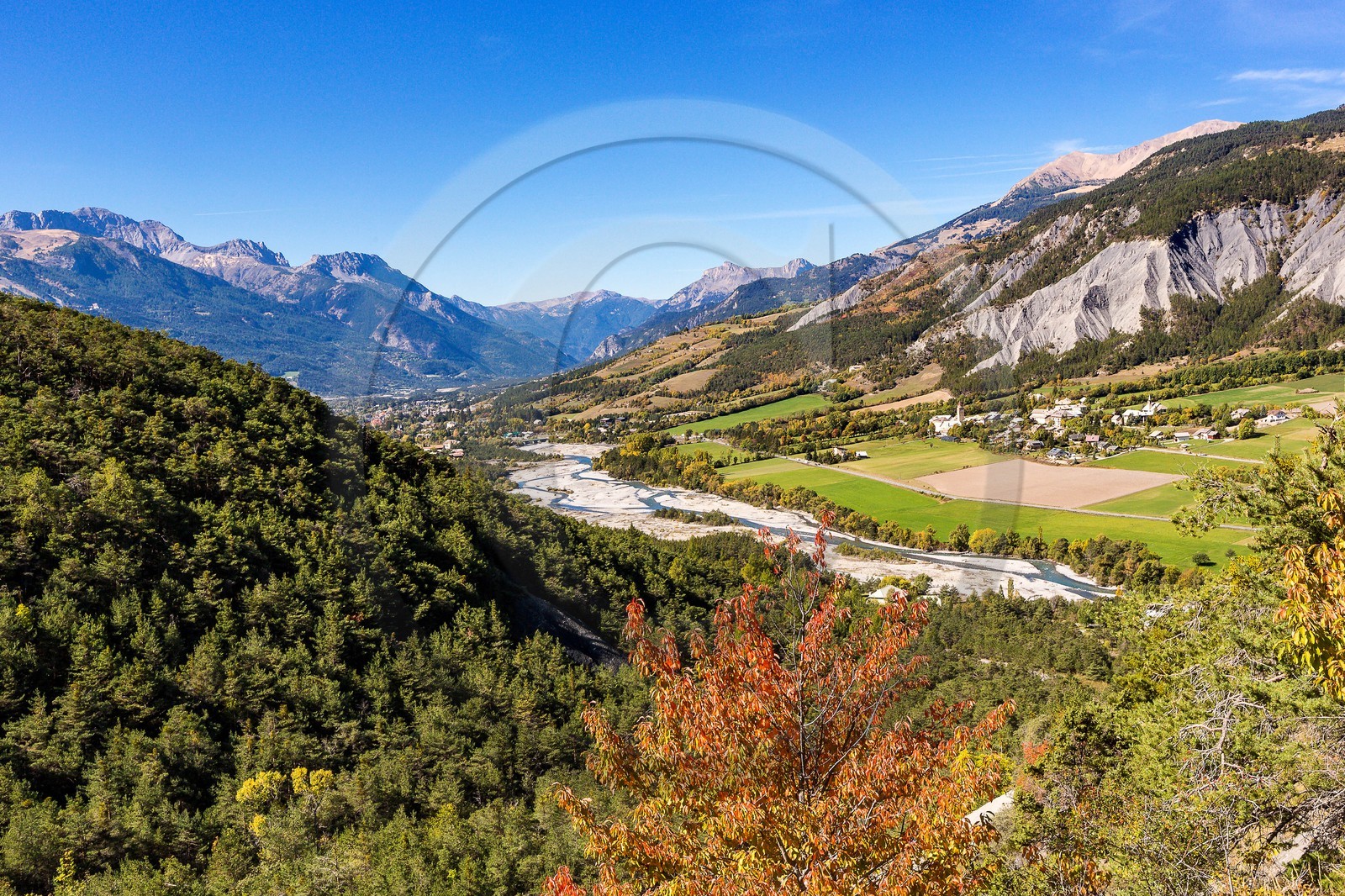 Faucon-de-Barcelonnette