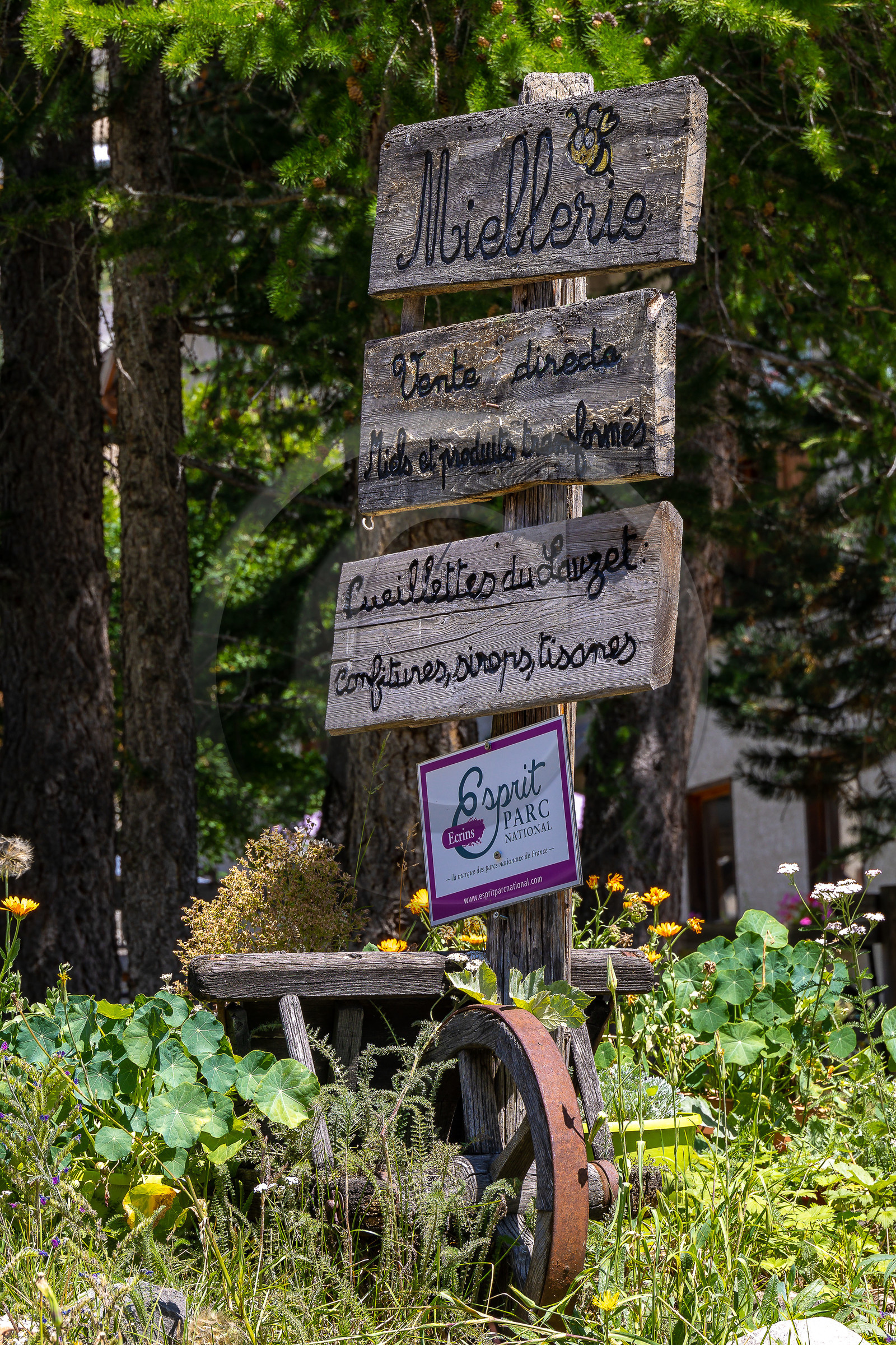 Les cueillettes du Lauzet et la miellerie du Lauzet
