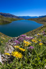 Lac Palluel