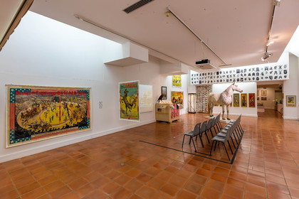 Gap, Musée Muséum départemental des Hautes-Alpes