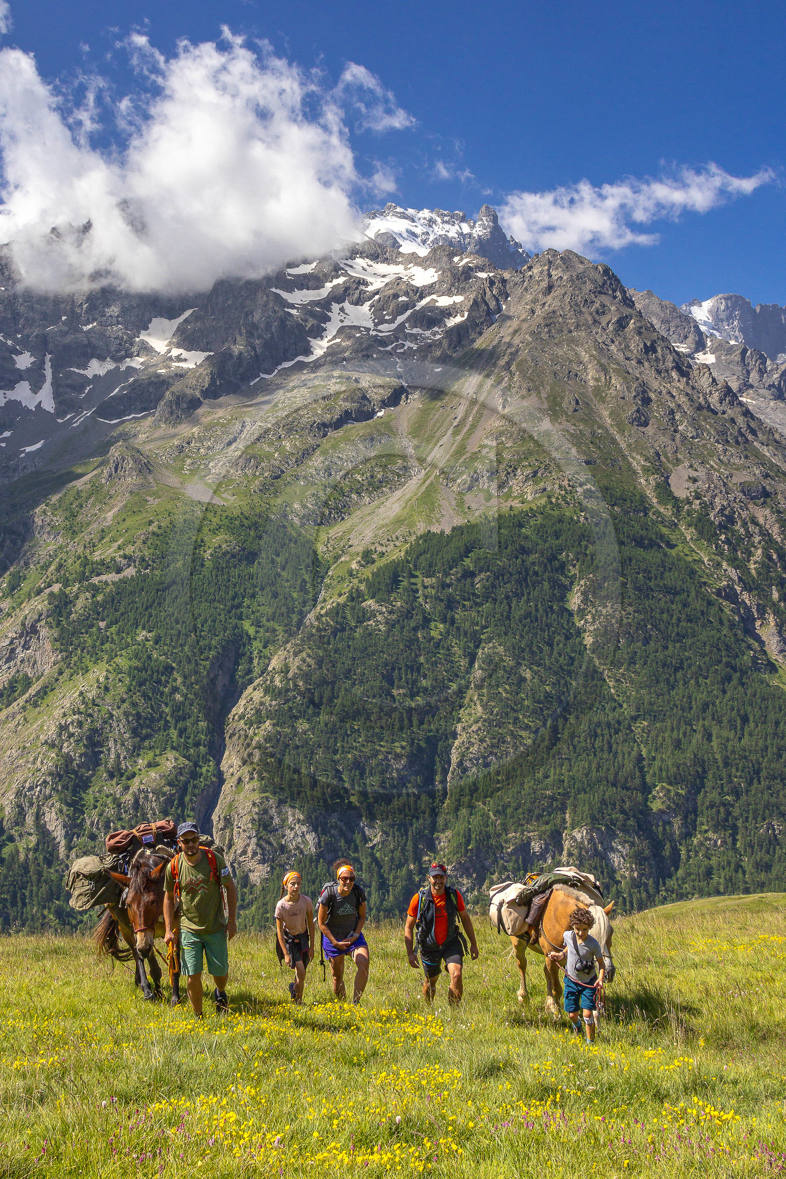 Trek famille avec animaux de bats