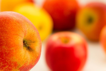 Noëlle et Franck Jacob, producteurs de fruits