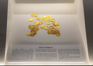Musée Muséum départemental des Hautes-Alpes,  le trésor monétaire de Séderon