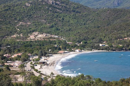 Favone