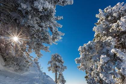 Espace naturel sensible de l'Isère, Col du Coq