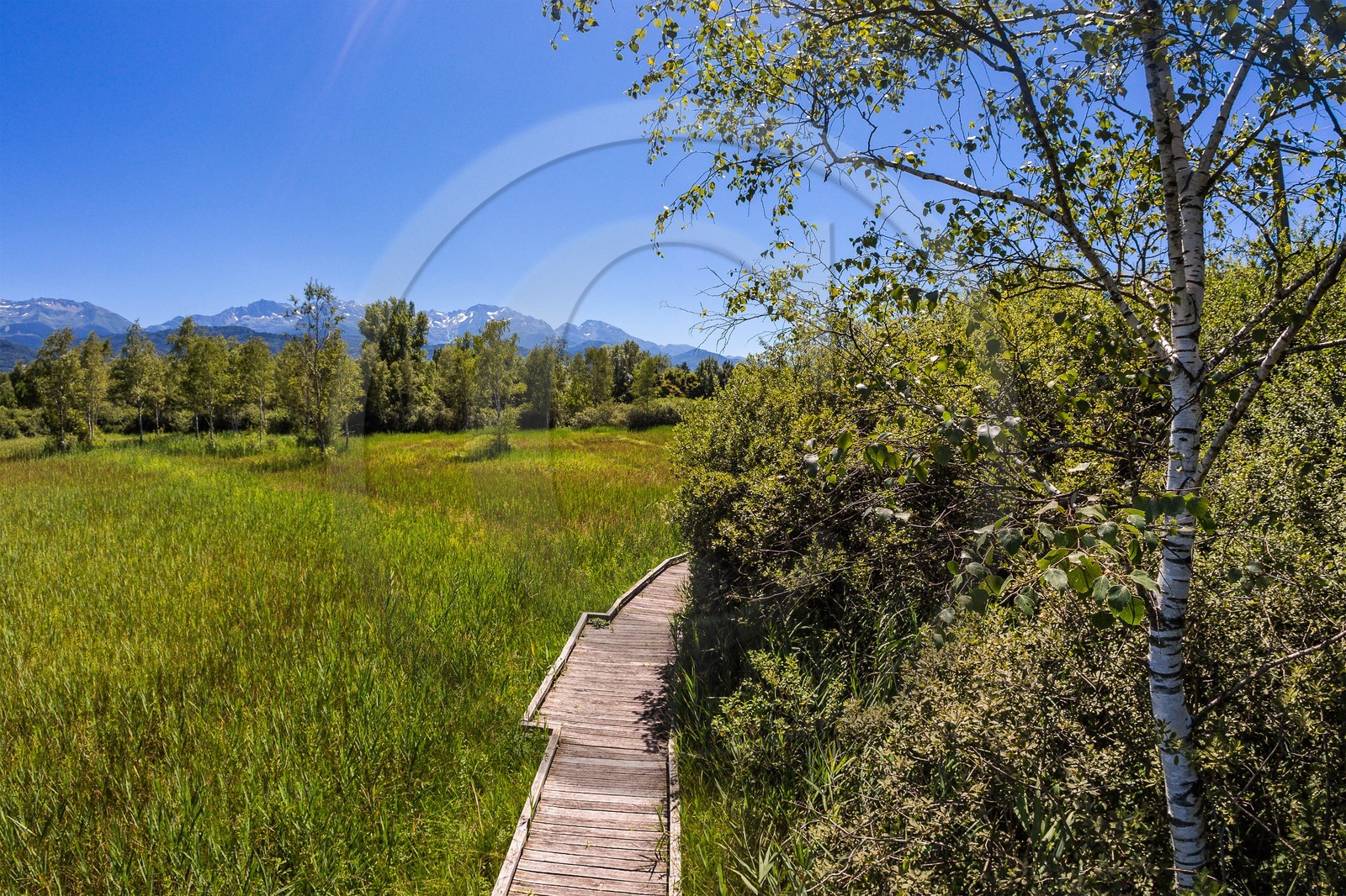 ENS de l'Isère, Marais de Montfort