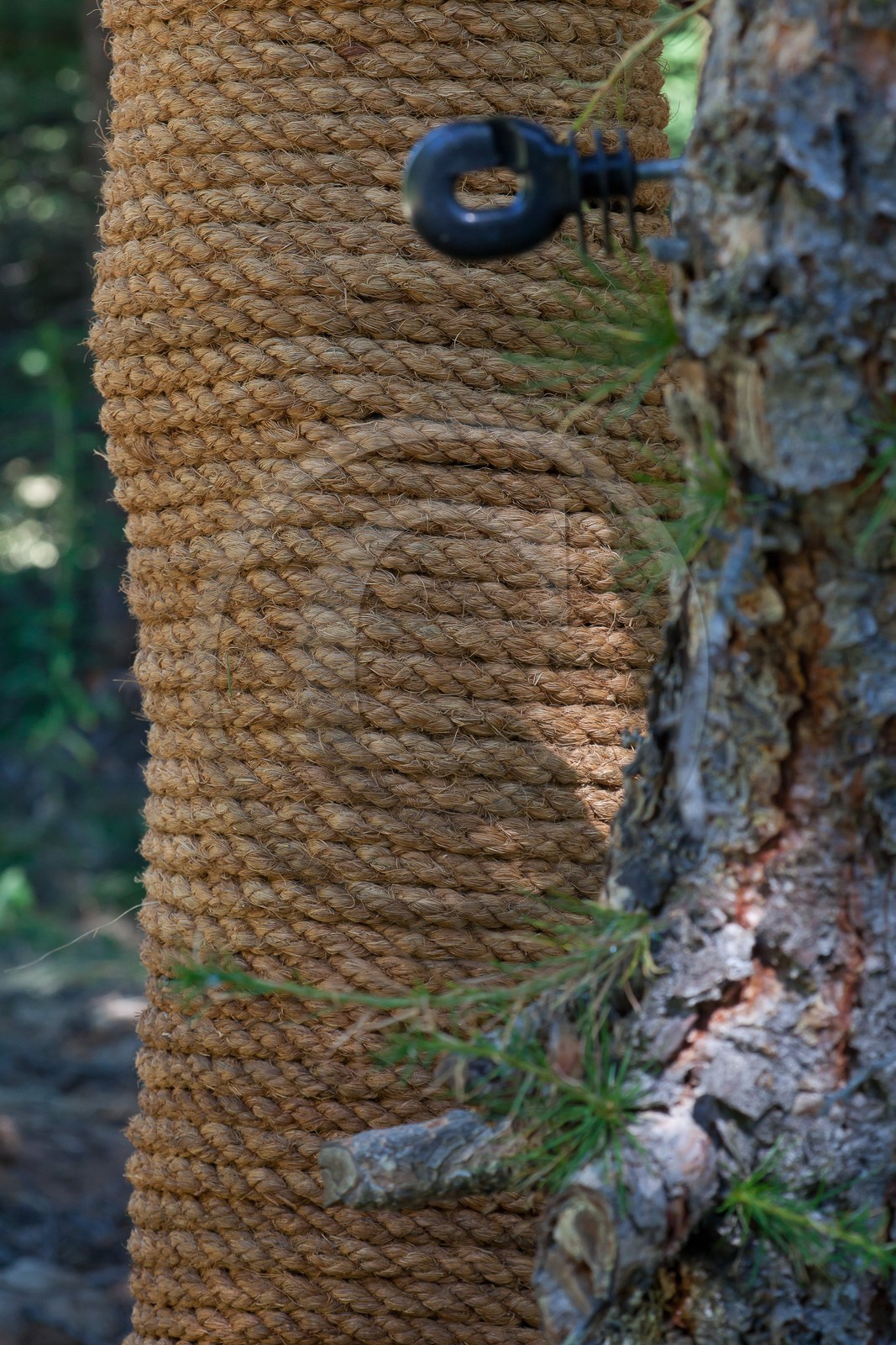 Sentiers Art et Nature Queyras et Val Varaita, Jean-François Marc