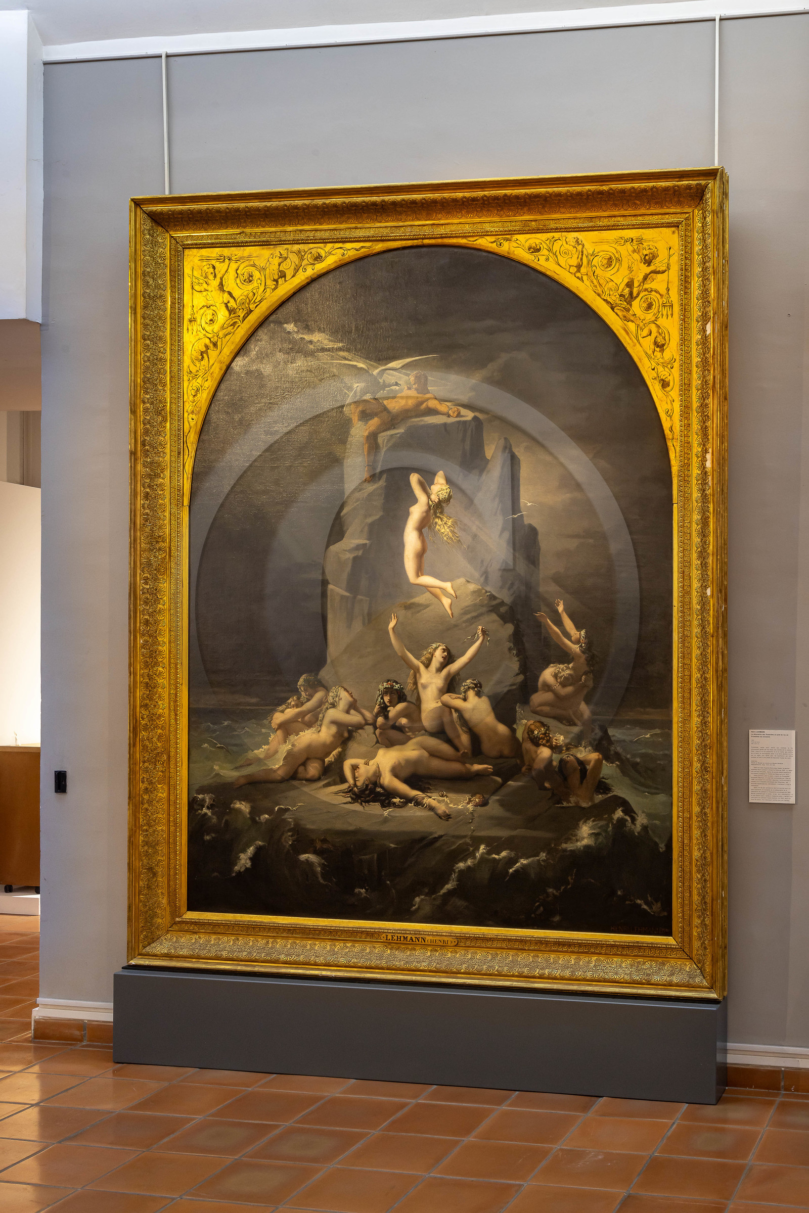 Musée Muséum départemental des Hautes-Alpes, Henri Lehman, Désolation des Océanides