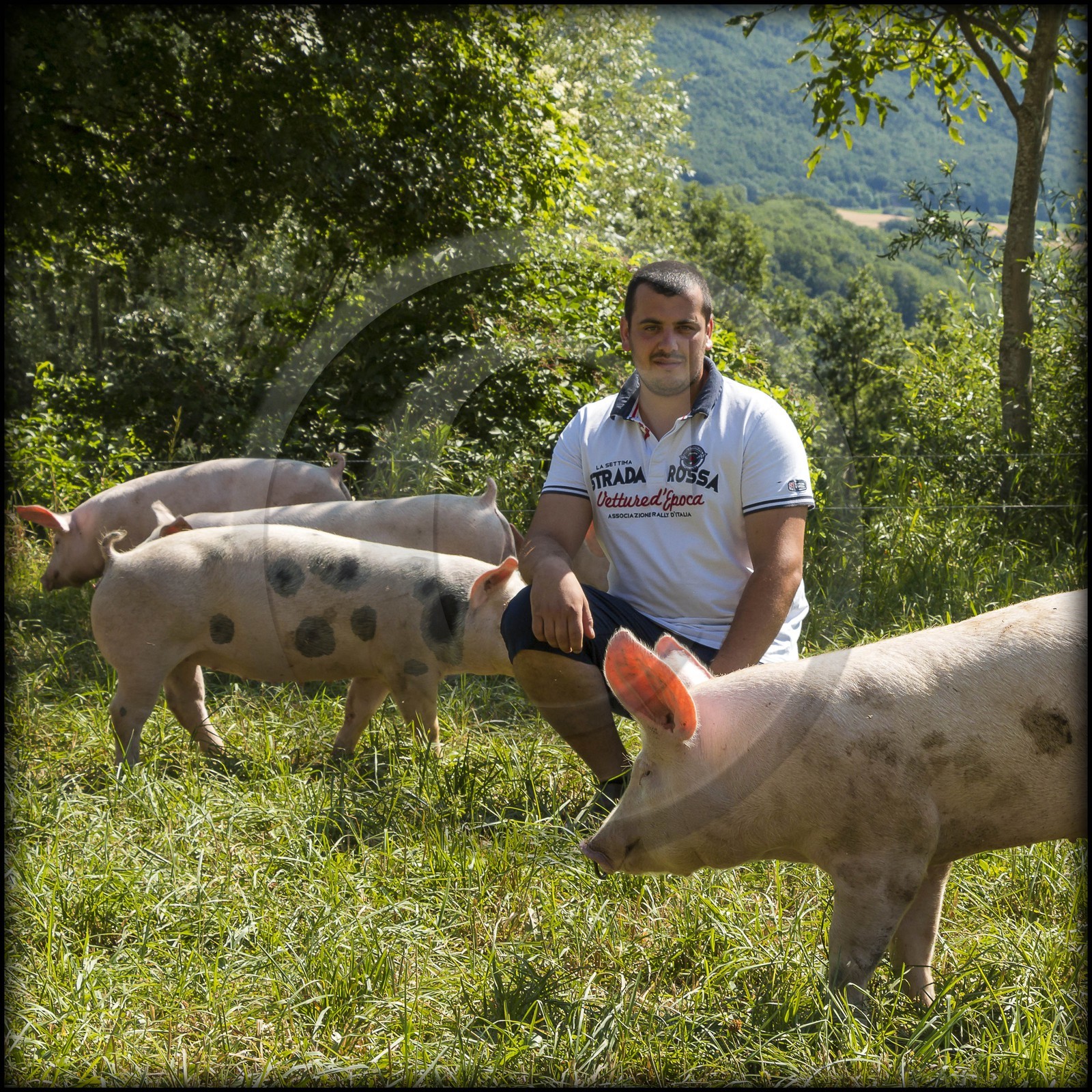 Vallée du Champsaur, Ferme des Coupaïrou, Guillaume Barban