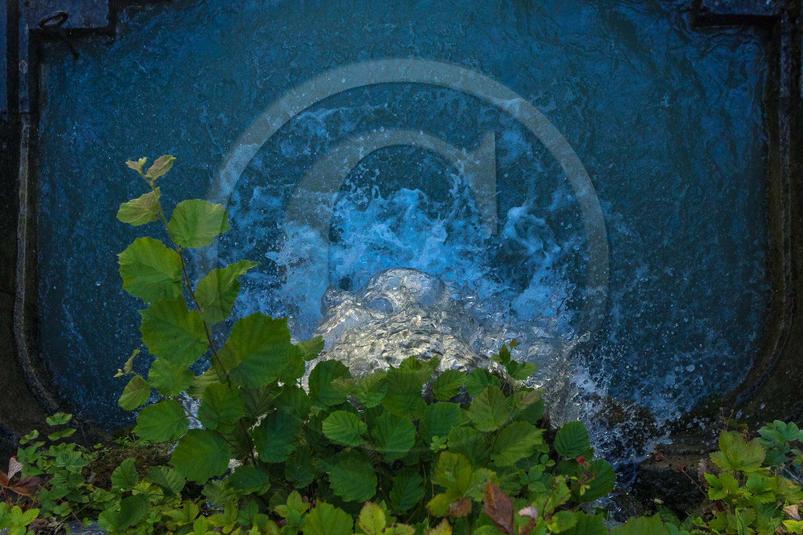 Château et jardins du Touvet