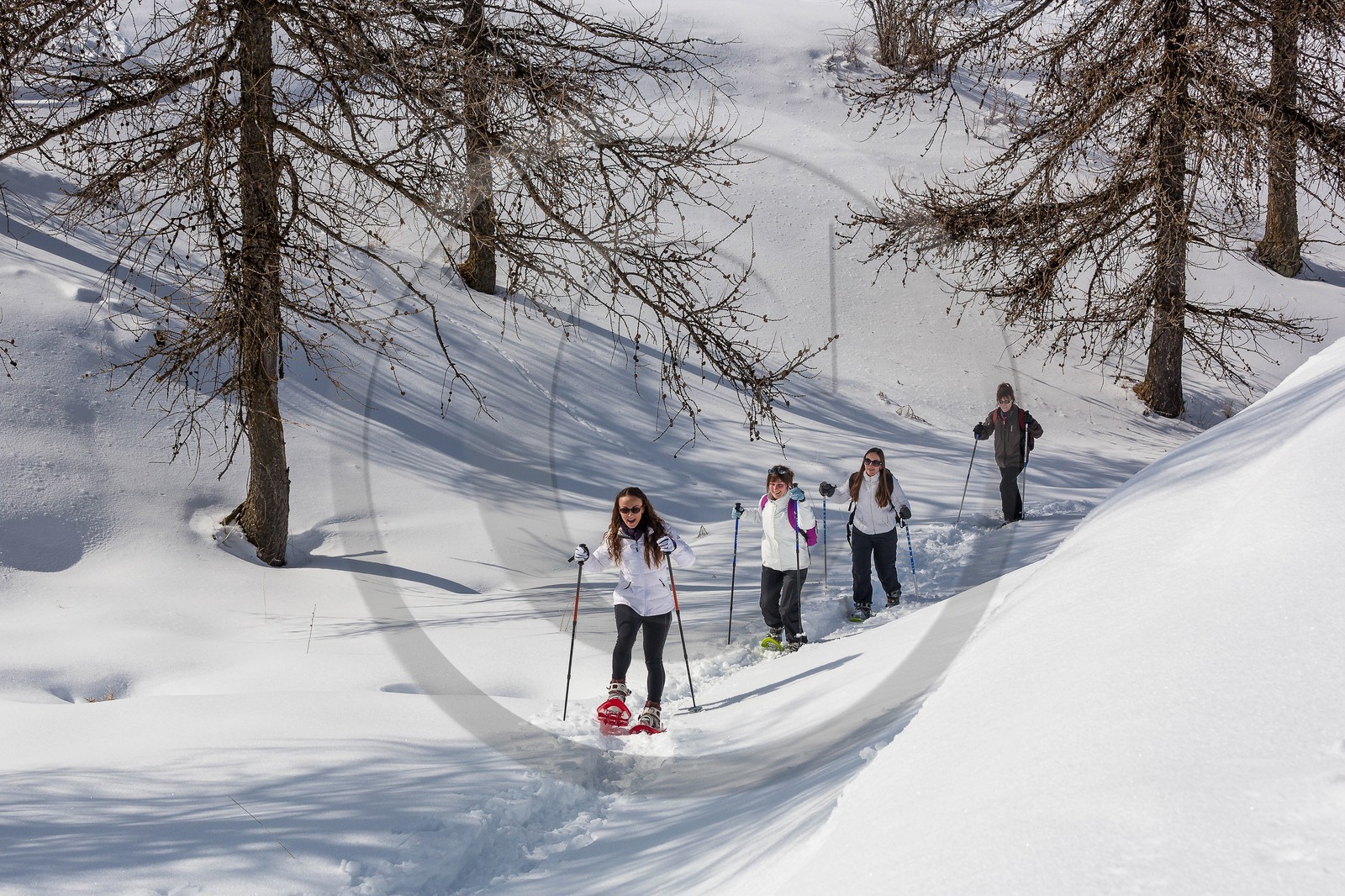 vallée de l'Ubaye, randonnée en raquettes à neige