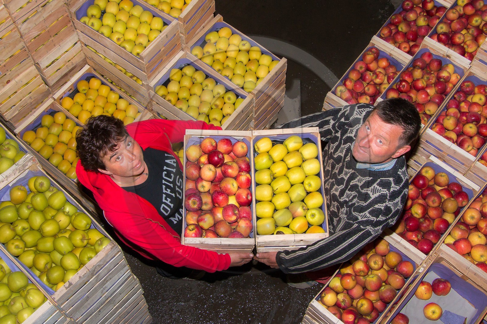 Noëlle et Franck Jacob, producteurs de fruits