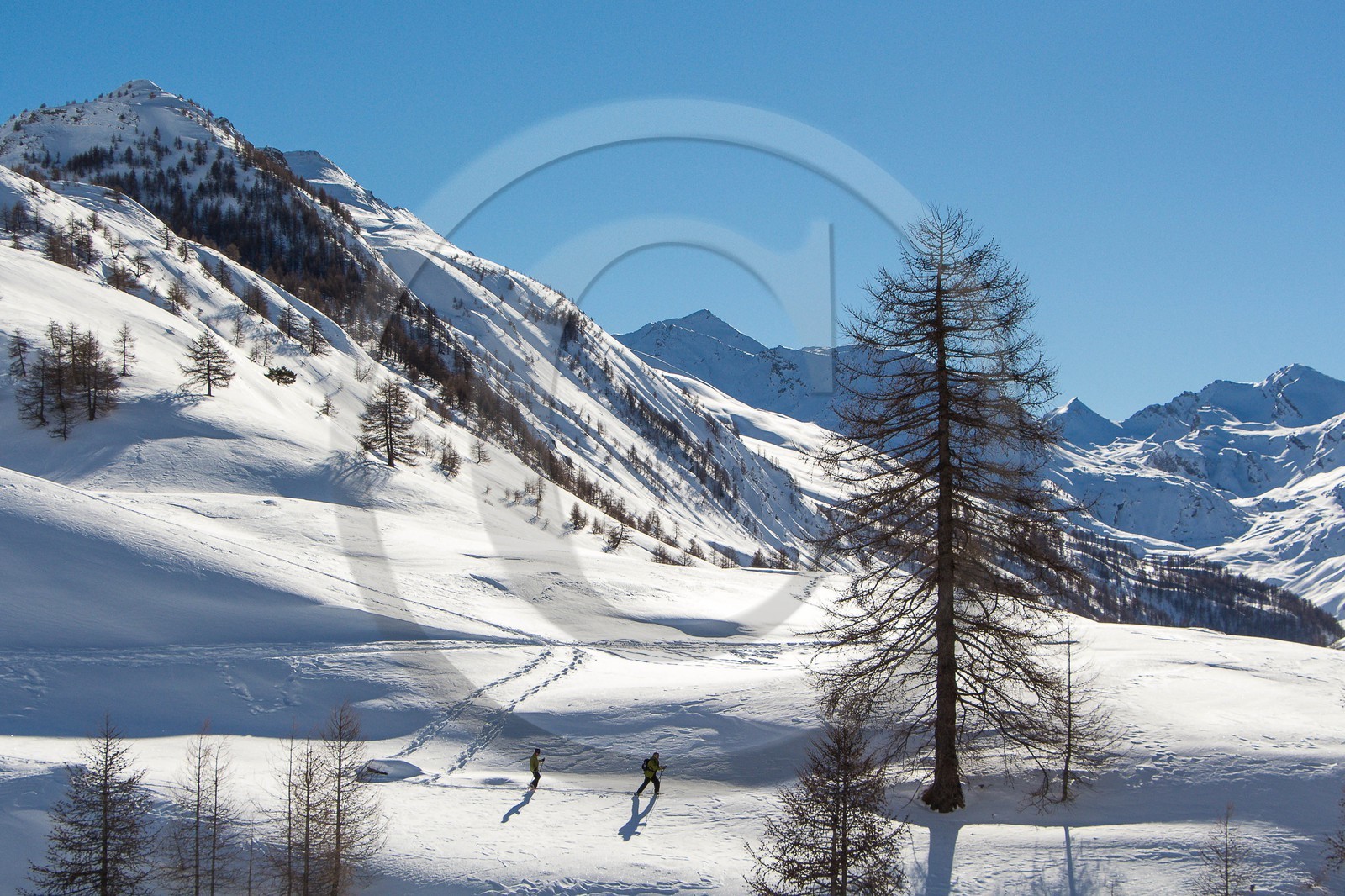 Col de Larche, vallon du lauzanier, randonnée raquettes