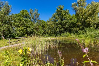 ENS de l'Isère, espace alluvial de la Rolande