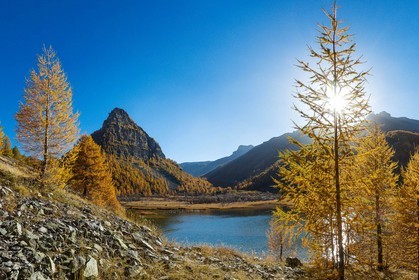 Jausiers, Lac des Sagnes et forêt de mélèzes à l'automne