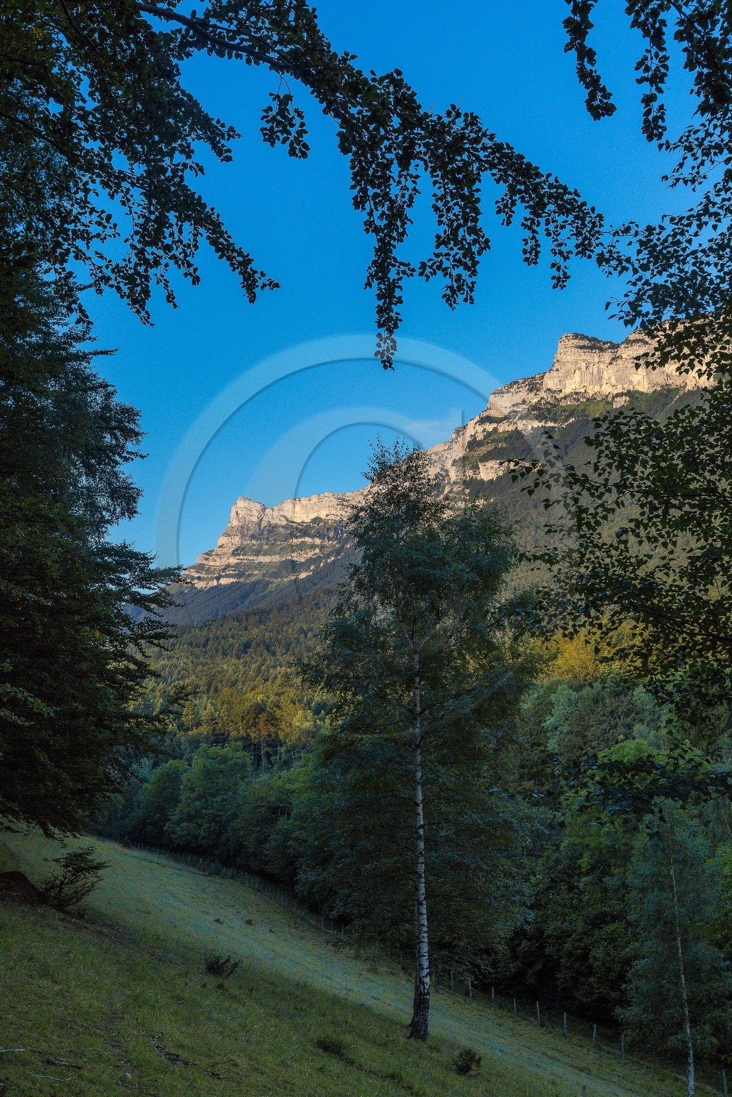 ENS de l'Isère,Tourbières du Peuil