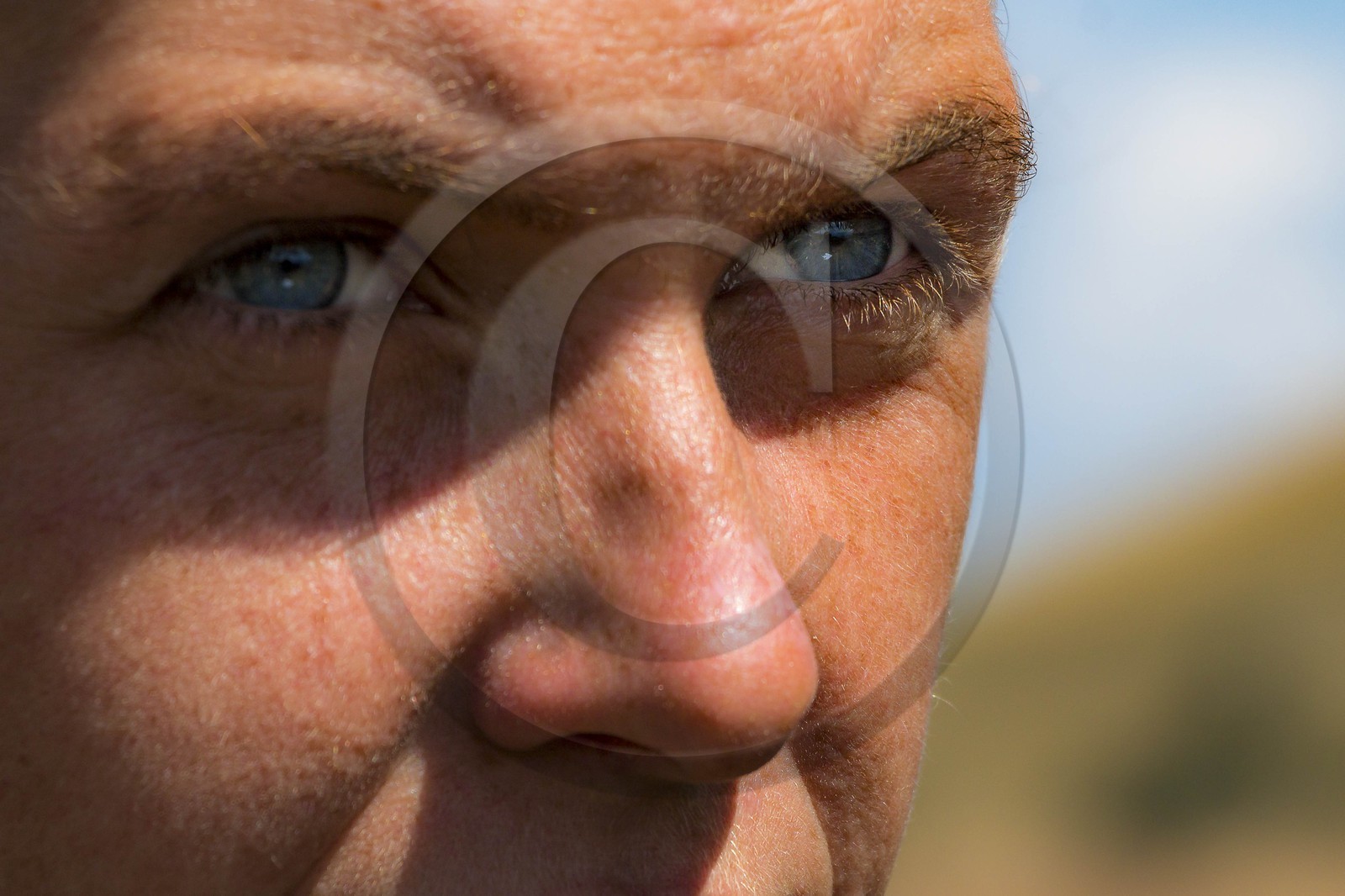 Alpage du Gau, Camille Magrit, bergère stagiaire