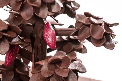 Luc Eyriey, Maître chocolatier à Embrun