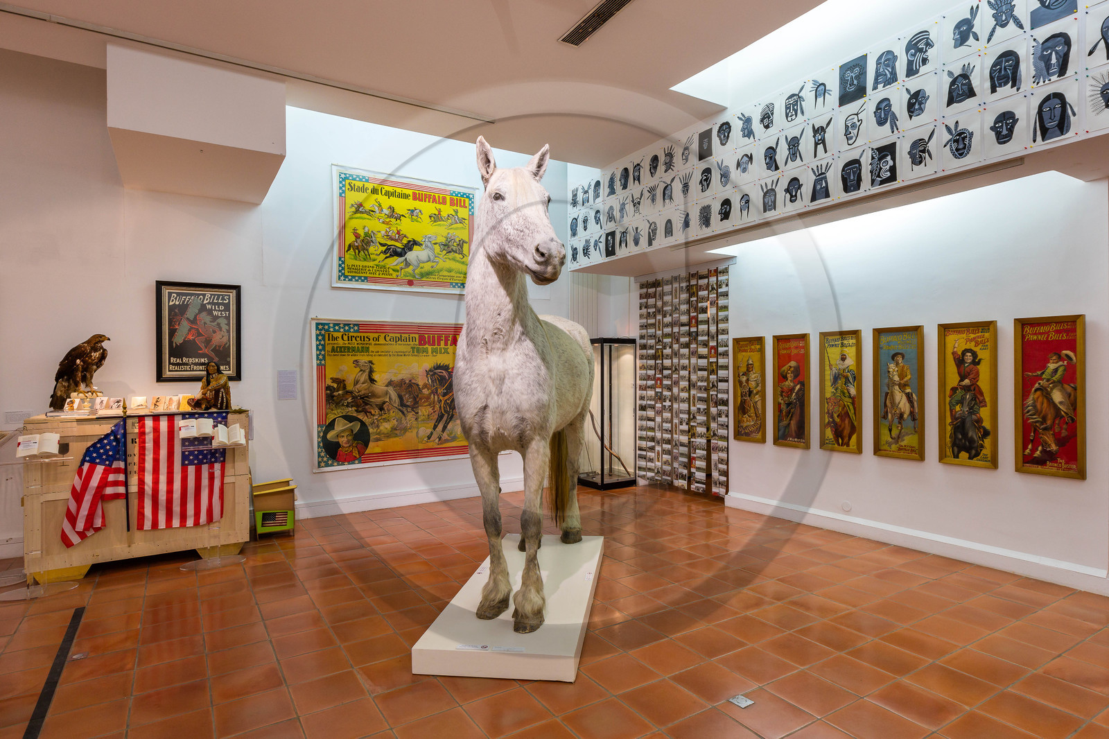 Gap, Musée Muséum départemental des Hautes-Alpes