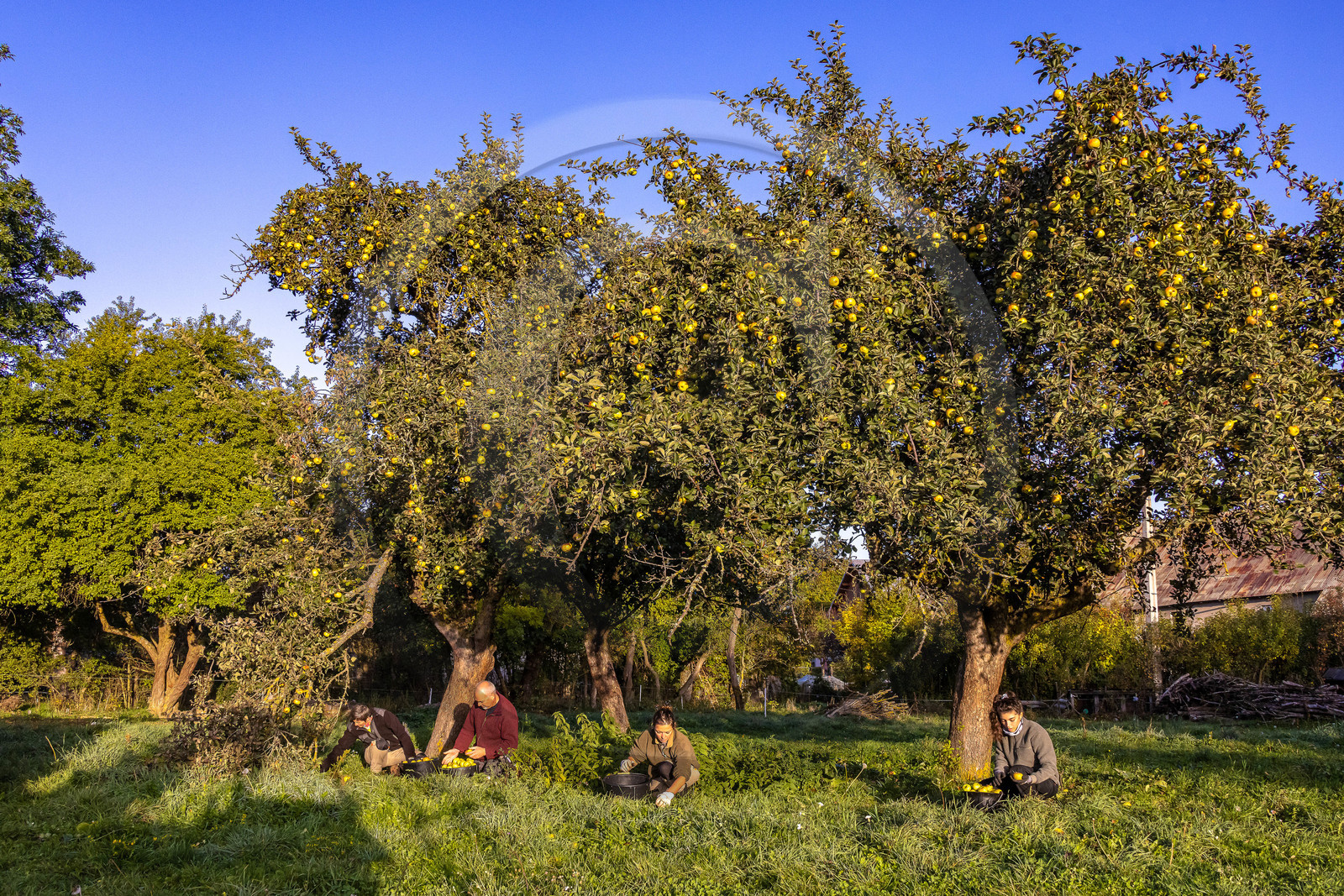 Etablissement Gayral, producteur de jus