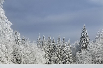 ENS de l'Isère, Les Ecouges