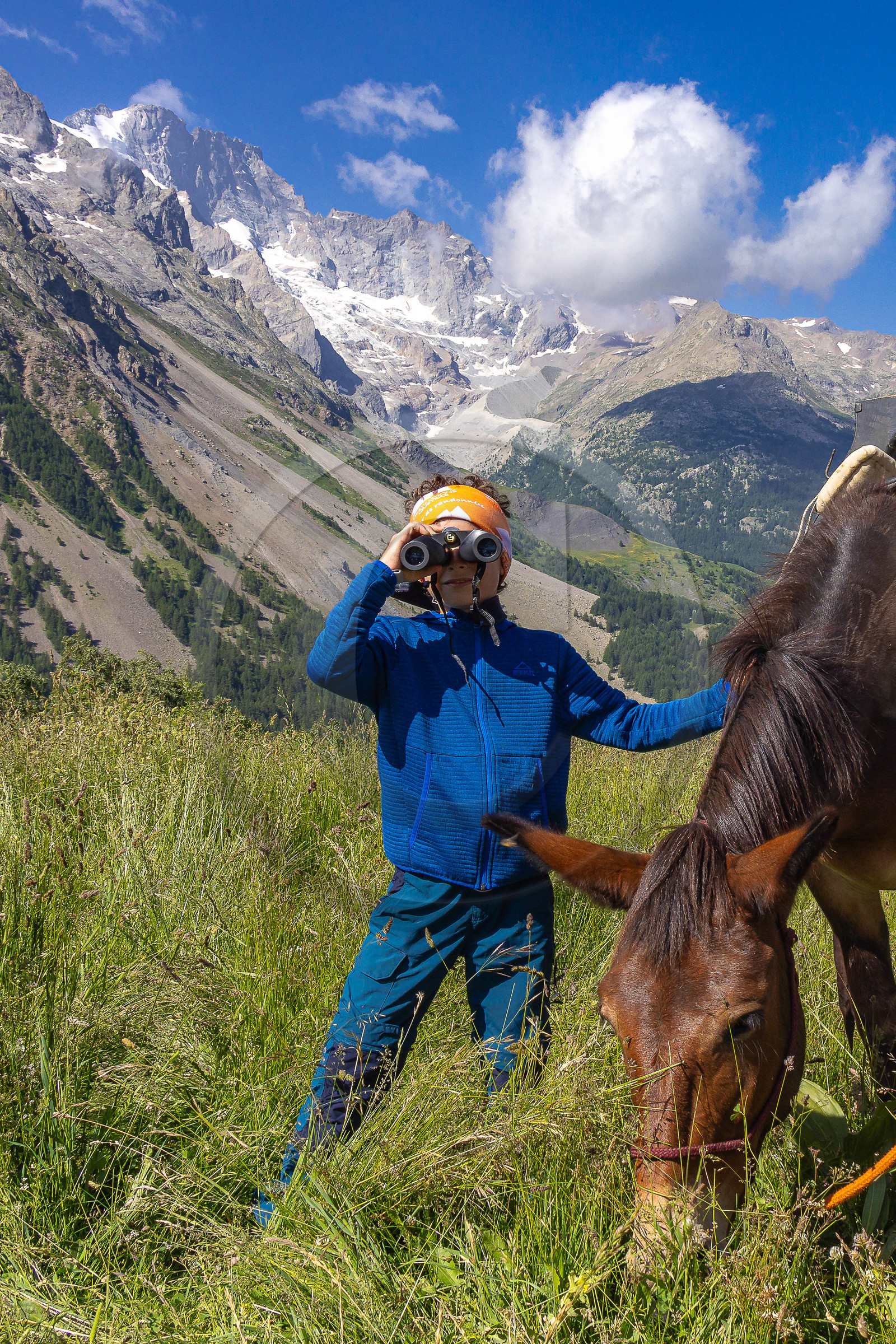 Trek famille avec animaux de bats