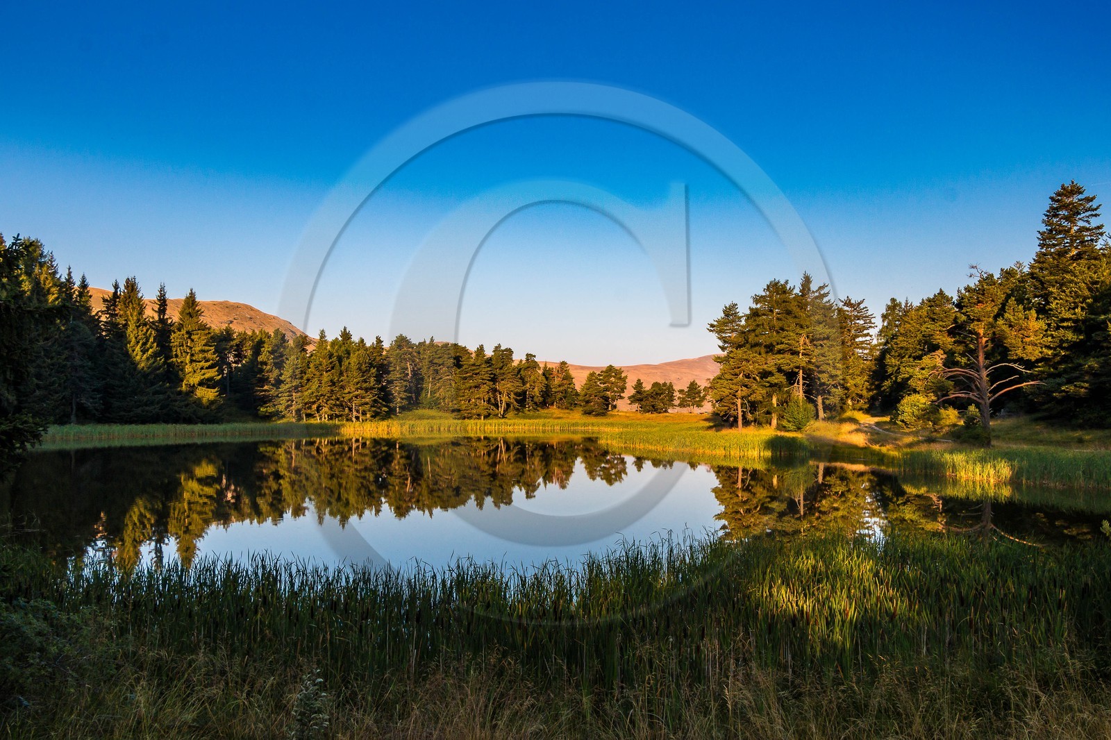 Esparron-La-Bâtie, lac d'Esparron