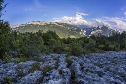 ENS de l'Isère, vallée fossile des Rimets