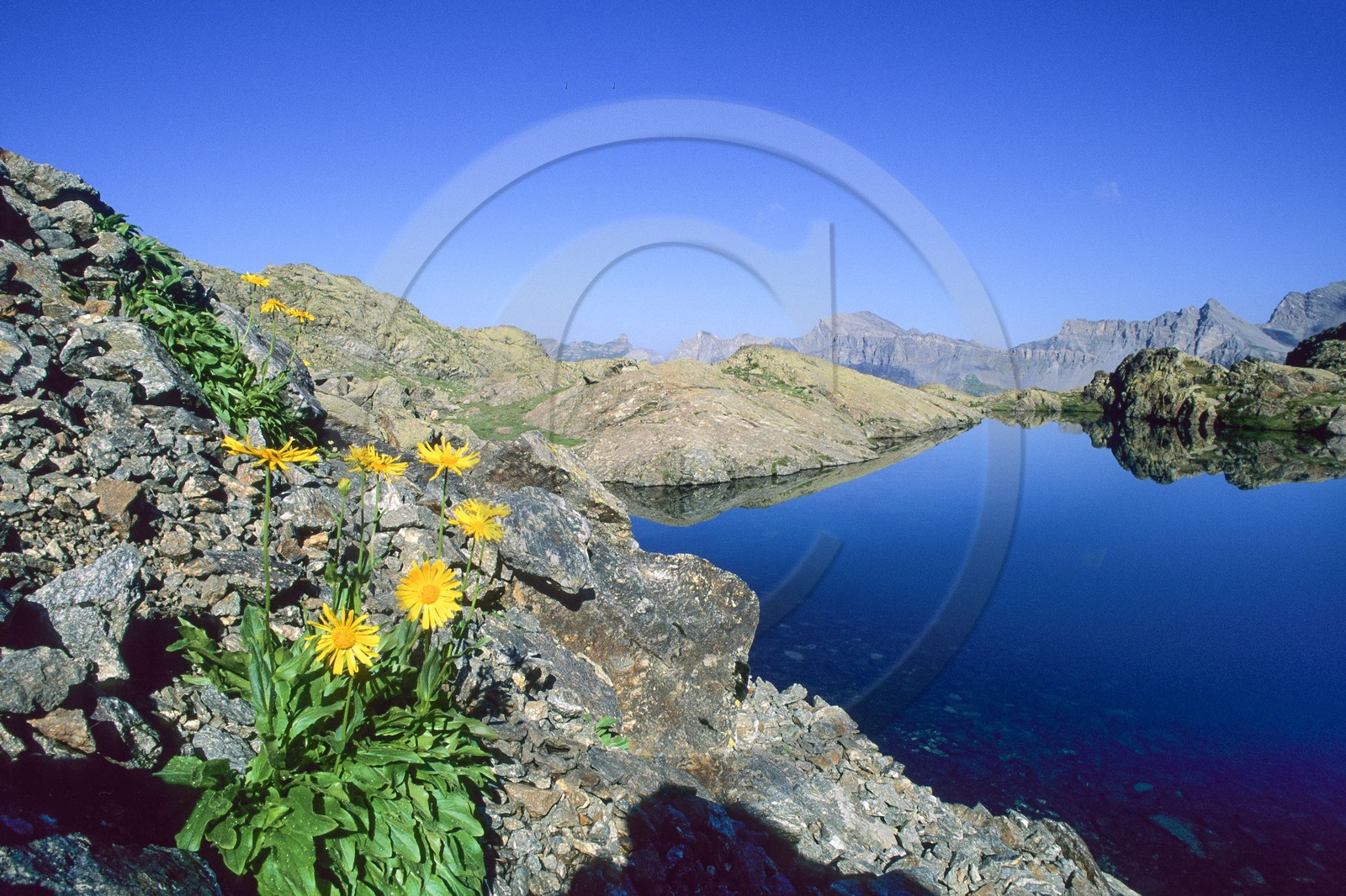 Haute Tinée,  Lacs de Morgon et doronic