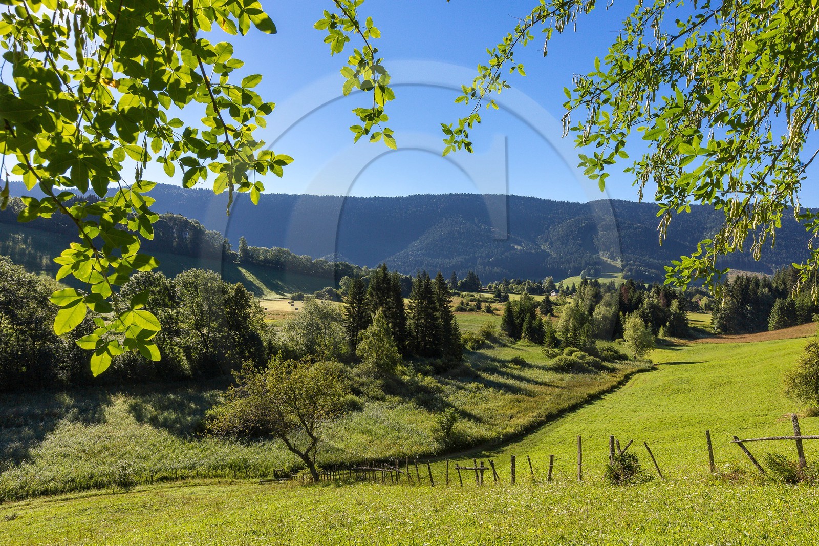 ENS de l'Isère, Marais des Sagnes