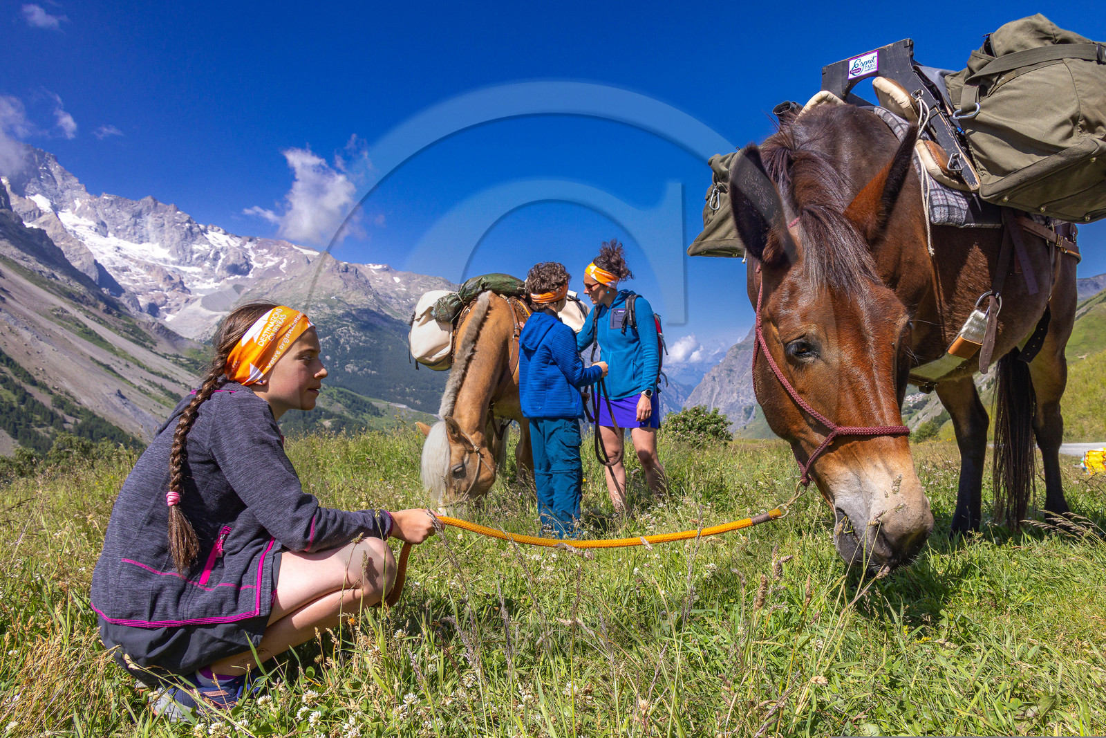 Trek famille avec animaux de bats