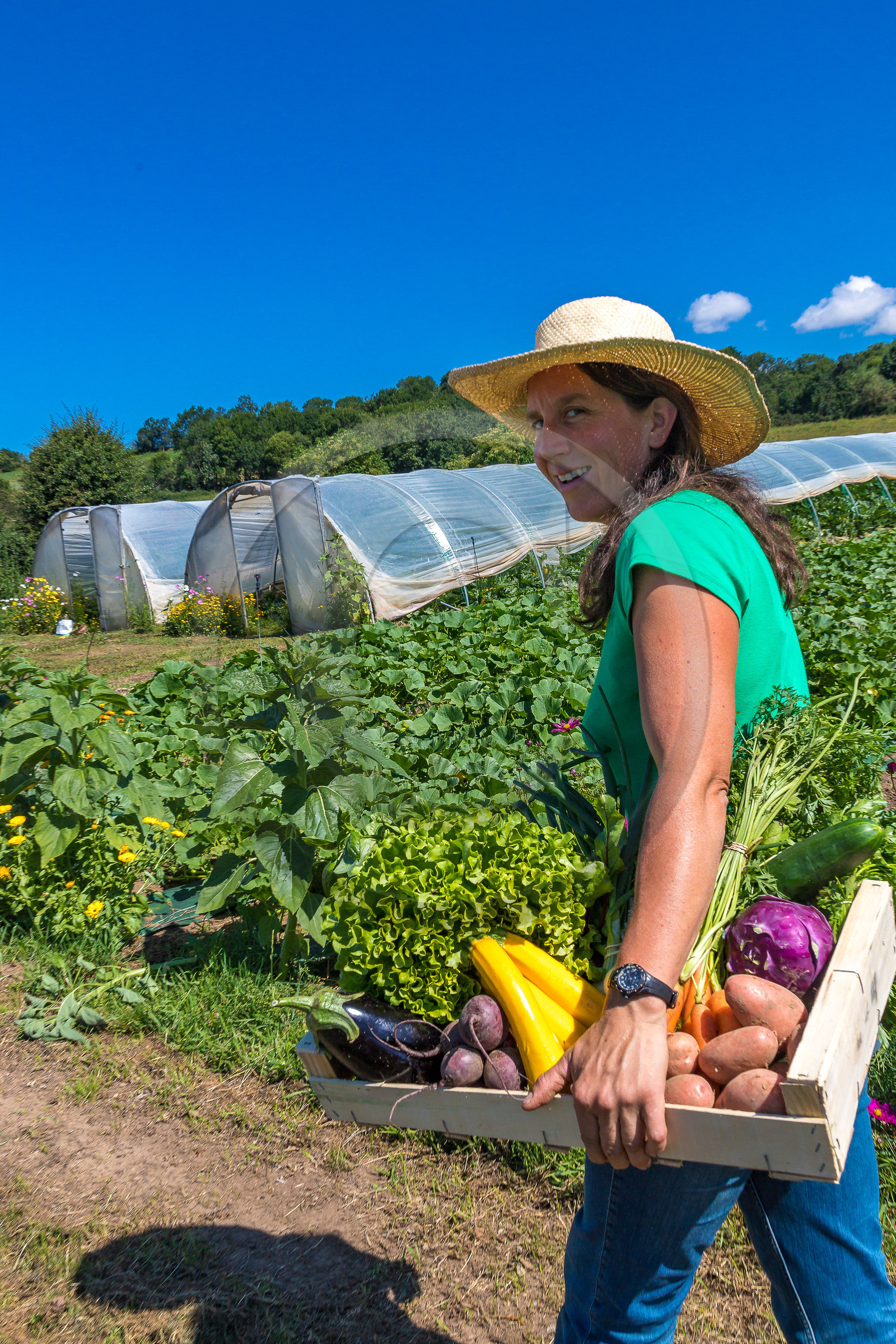LéguMontagne Sylvie Jaussaud , Maraîchères bio