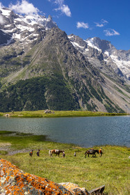 Trek famille avec animaux de bats