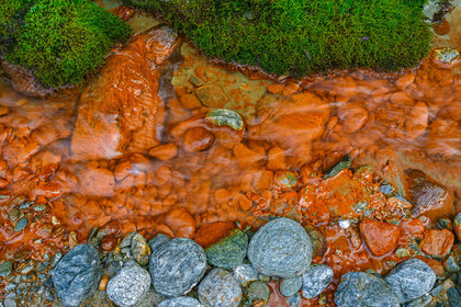 Réserve naturelle des Contamines-Montjoie, source ferrugineuse dans le torrent de Tré-la-Tête