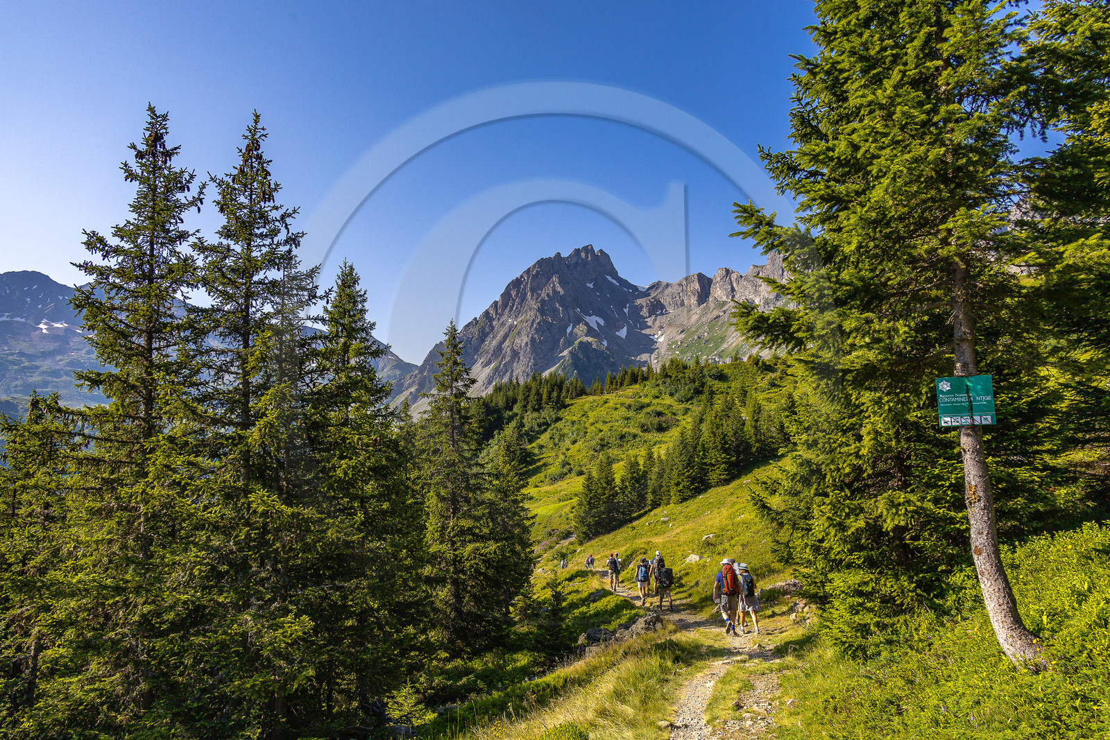 Réserve Naturelle des Contamines-Montjoie, randonnée pédestre