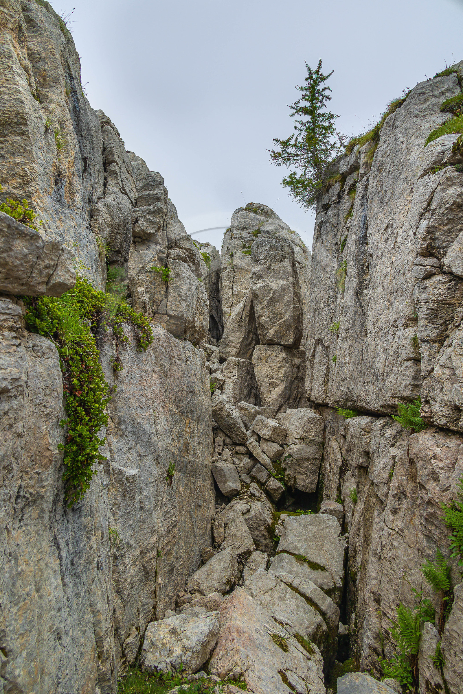 Les Oucanes de Chabrières