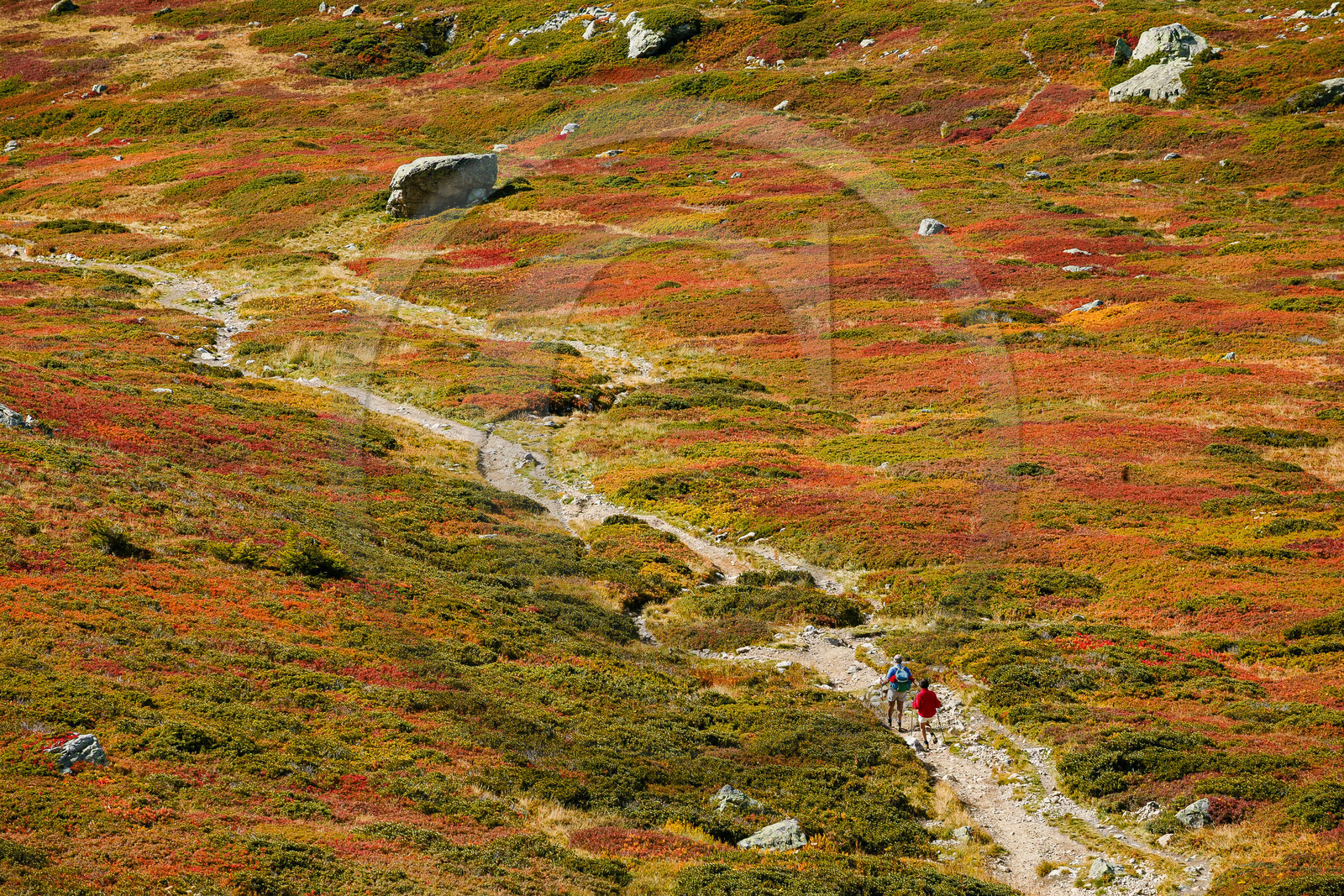 Randonnée pédestre sur le sentier des lacs Jovet