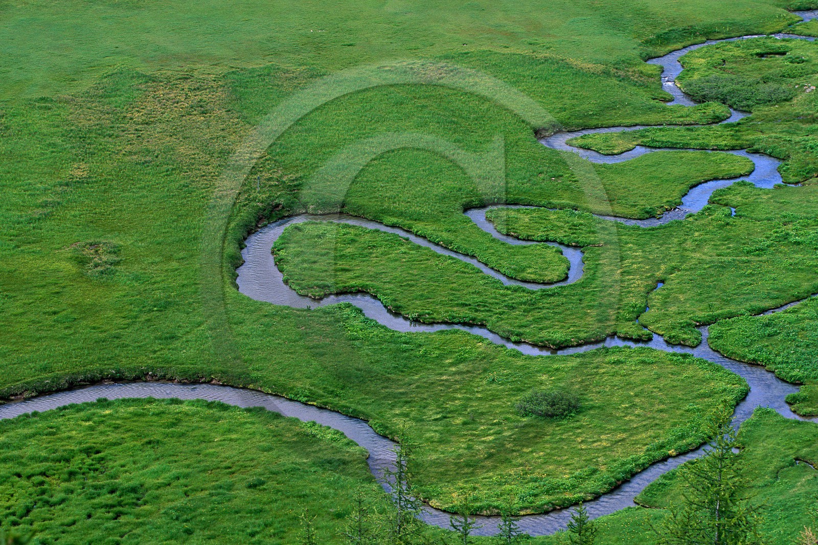 Lac d'Allos, La Serpentine, résurgence du lac d'Allos,  Plateau du Laus