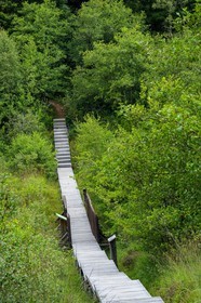 ENS de l'Isère, Tourbière des Planchettes