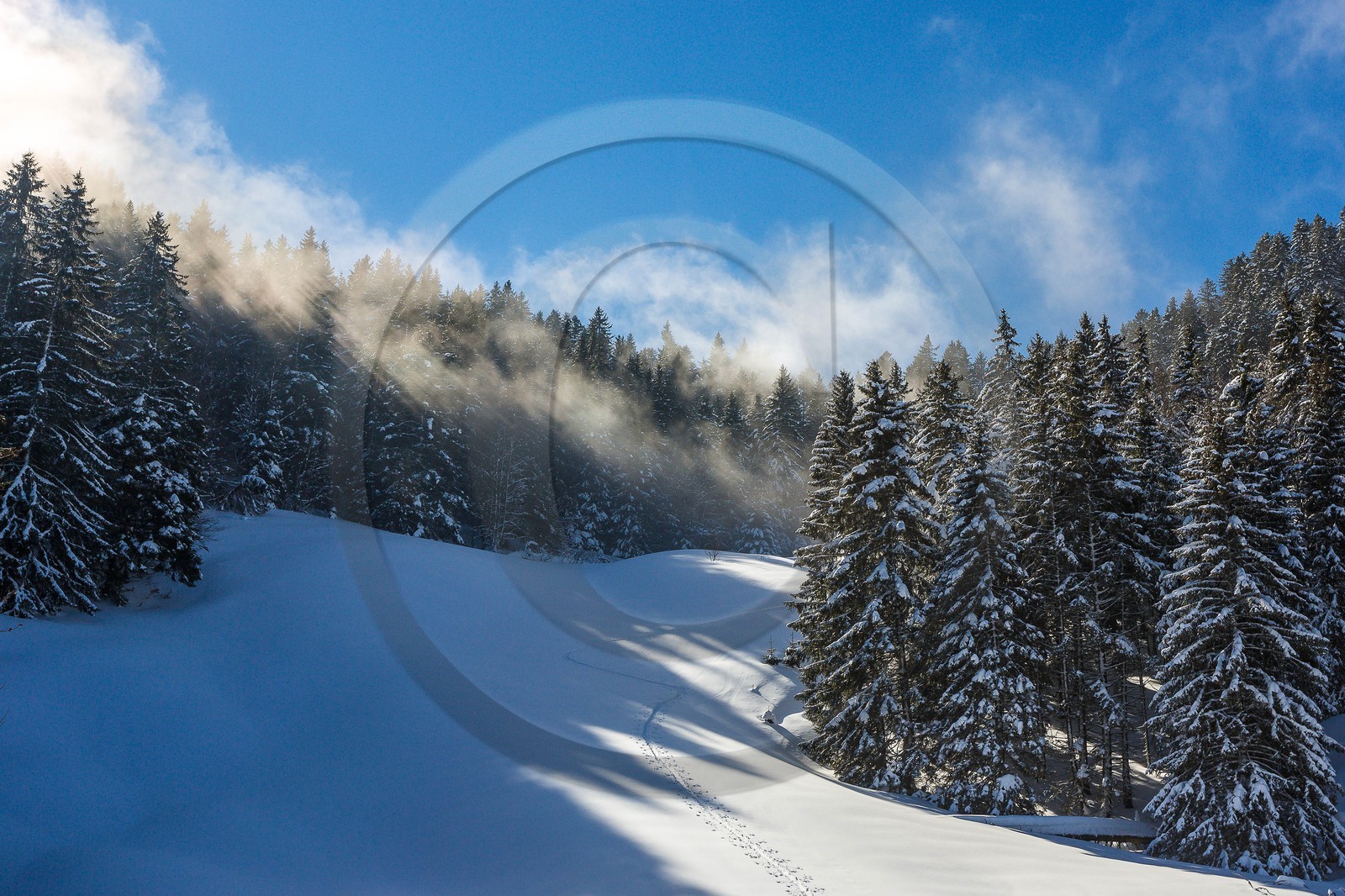 Espace naturel sensible de l'Isère, Col du Coq