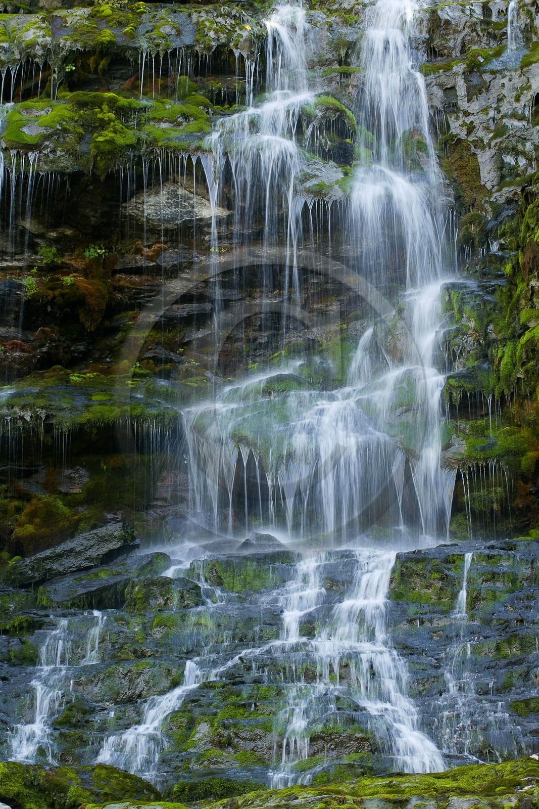 Réserve naturelle de Sixt-Passy, Cascades du Torrent de Salles