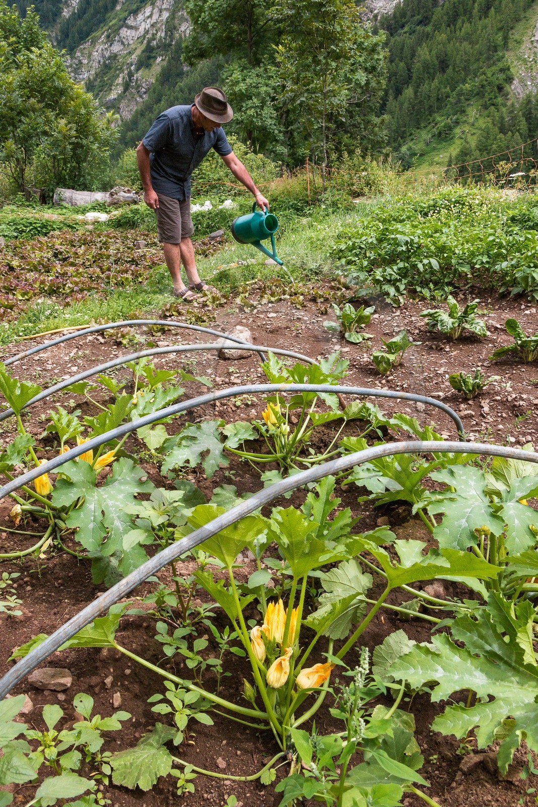 Vallée de Champoléon, refuge du Tourond, Stéphane Chevalier, gardien