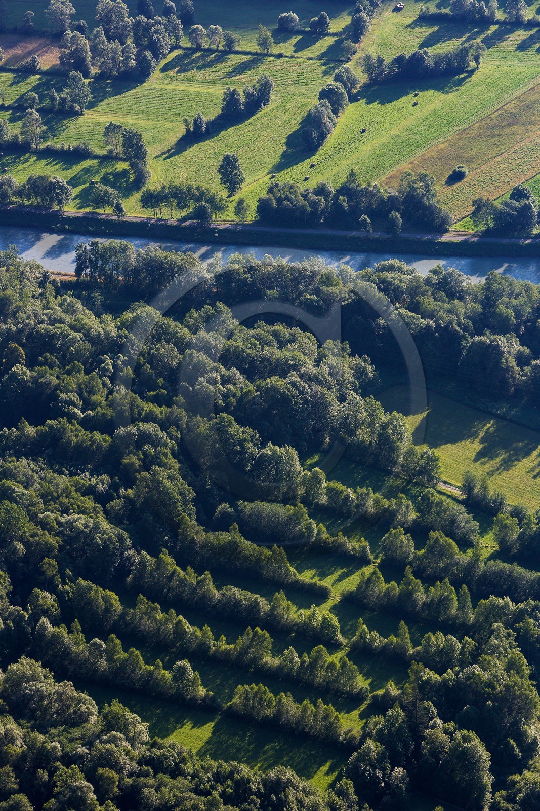 ENS de l'Isère, Vieille morte de Bourg d'Oisans