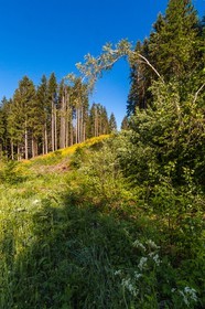 ENS de l'Isère, Marais des Seiglières