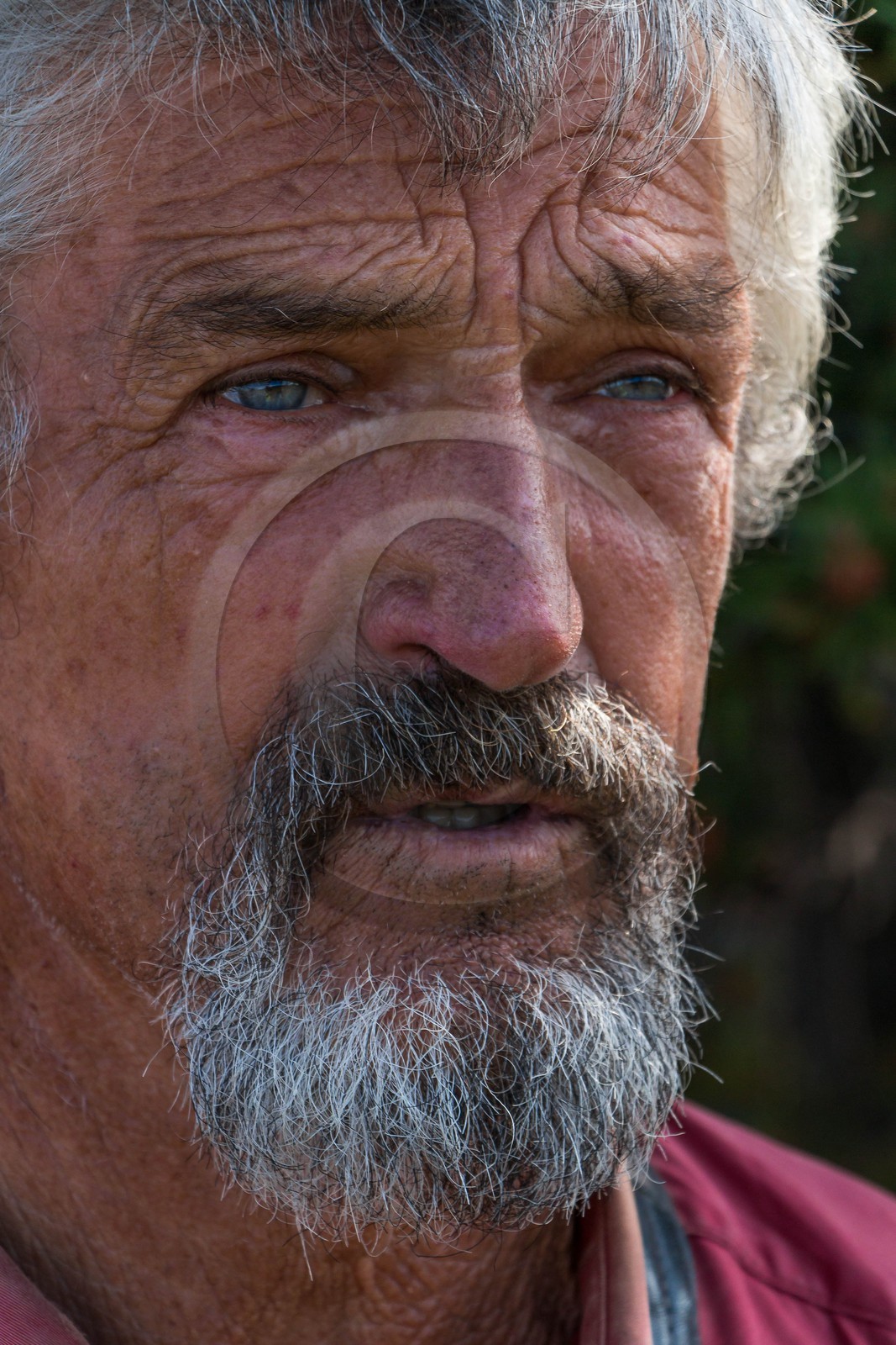 Alpage du Gau, le berger Guy Achard et Camille Magrit, bergère stagiaire