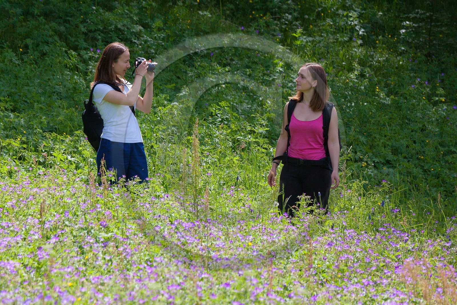 Randonnée champêtre