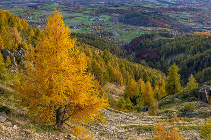 L'automne dans la Vallée du Champsaur