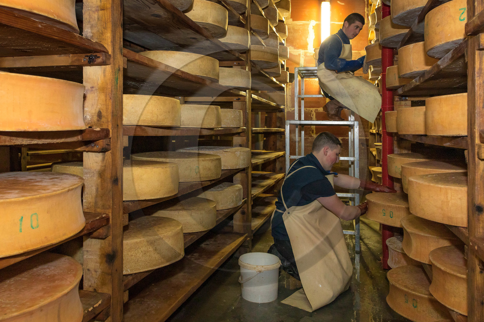 Fromagerie du Plan, Pierrick Rolland, éleveur