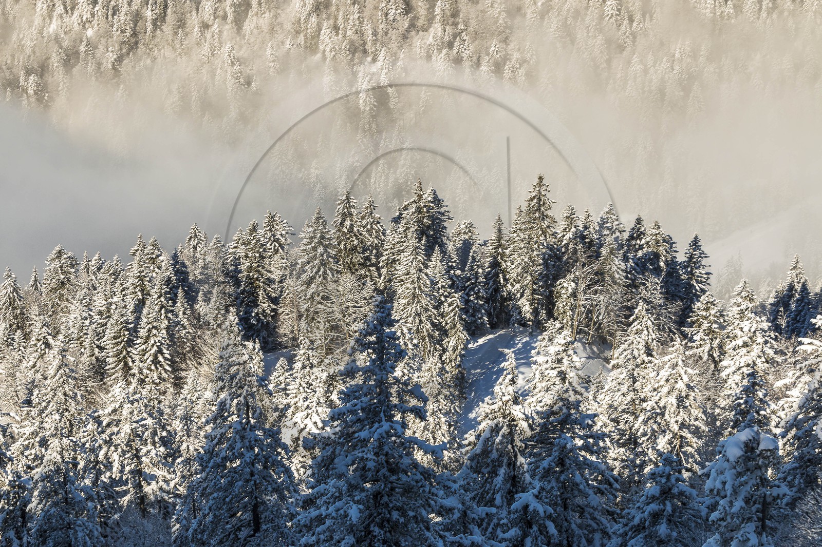 ENS de l'Isère, Plateau de la Molière et du Sornin